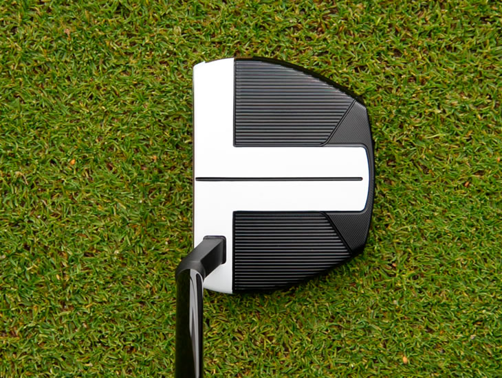 TaylorMade Spider FCG Putter Review