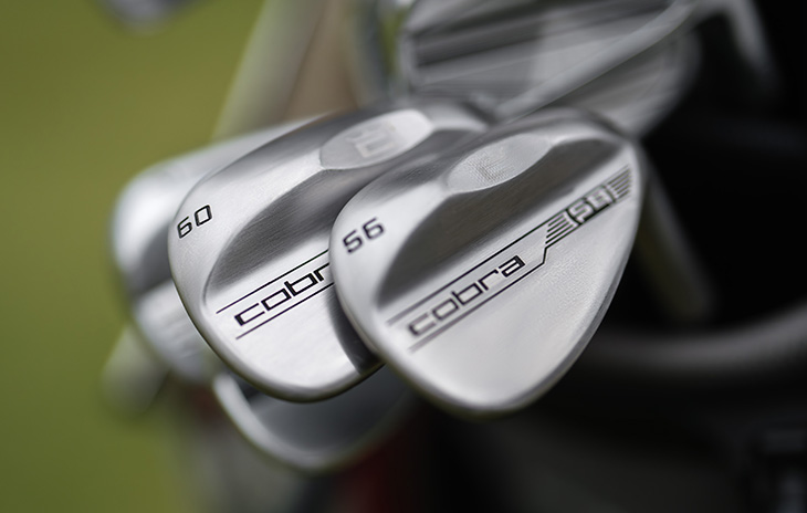 Cobra Snakebite Raw Wedges