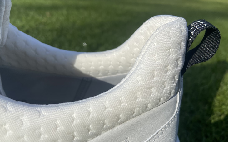 Ecco Biom H4 Shoe Review