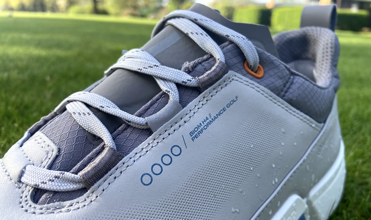 Ecco BIOM H4 2023 Shoe