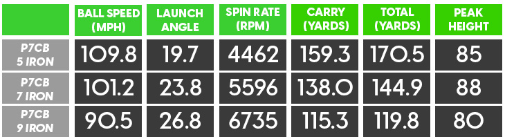 TaylorMade P7CB Irons