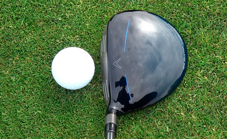 Callaway Big Bertha 21 REVA Review