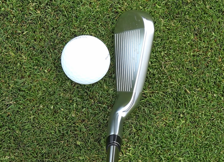 Callaway Big Bertha 21 REVA Review