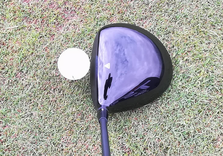 Titleist TS2 Driver