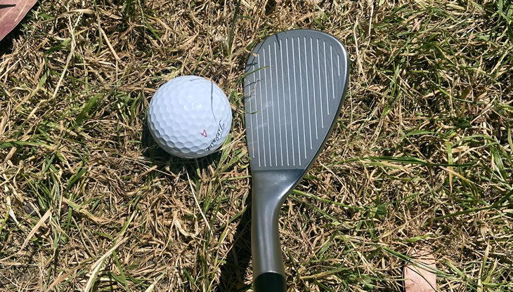 Cobra Snakebite 2023 Wedge Review