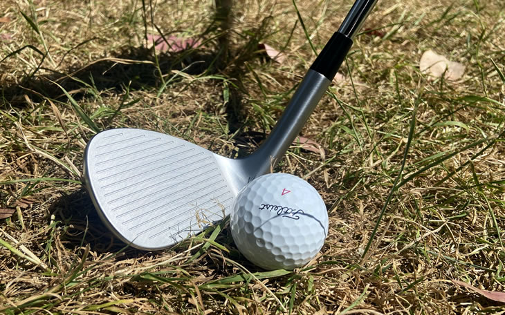 Cobra Snakebite 2023 Wedge Review