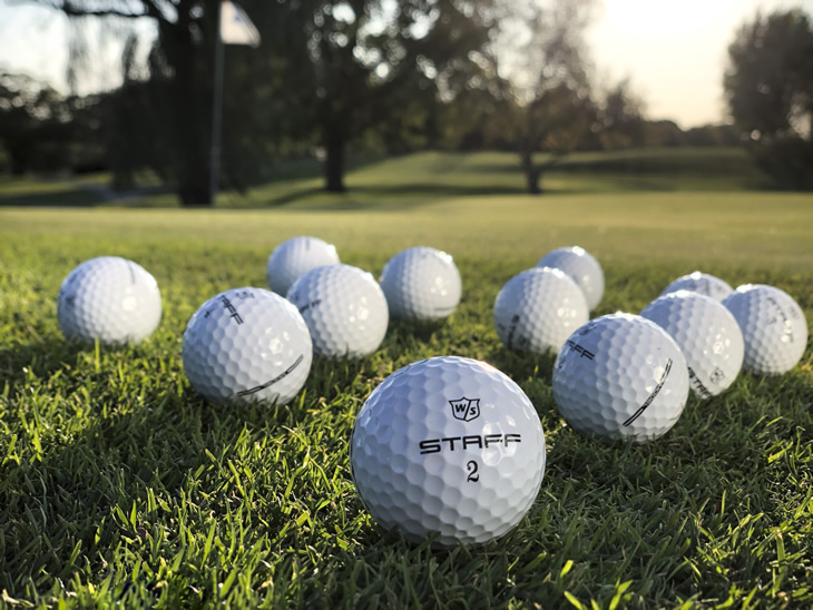 Wilson Staff Model Golf Balls