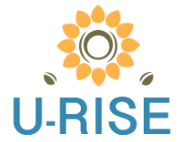 [FUNDED] U-RISE: Improving wellbeing of Ukraine’s displaced people